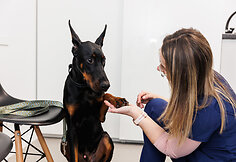 Veterinarijos centras