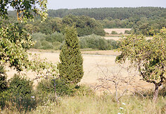 Garsios tylos observatorija