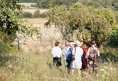 Garsios tylos observatorija
