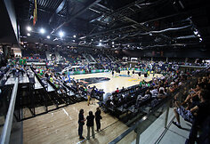 Kėdainių arena