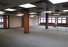 Biblioteka prieš renovaciją