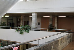 Biblioteka prieš renovaciją