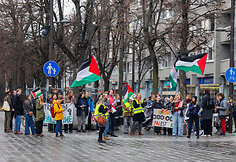 Palestinos palaikymo akcija Kaune