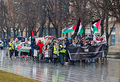 Palestinos palaikymo akcija Kaune