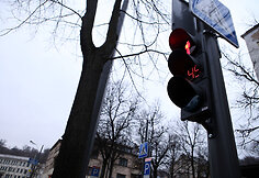 &Scaron;viesoforas su laikmačiu