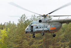ORKA pratybos