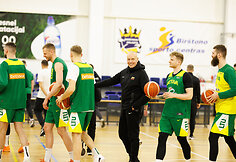 Rimas Kurtinaitis