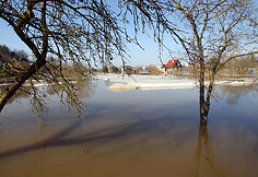 2013 metų potvynis pakaunėje