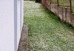 Sniegas balandžio mėnesio pabaigoje