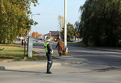 Valstybinė mokesčių inspekcija