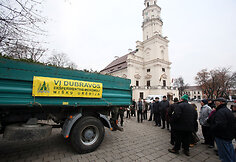 Eglių šakų dalinimo akcija