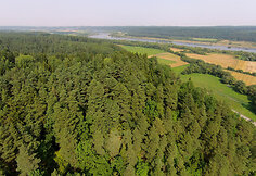 &Scaron;ėtijų piliakalnis