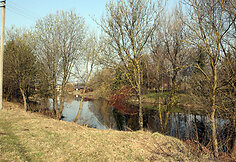Tvenkinys
