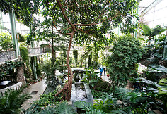 Kretingos dvaro oranžerija