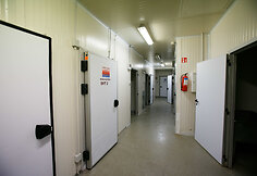 &bdquo;Judex&ldquo; sustabdyta produkcijos gamyba