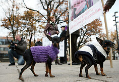 Demonstracijos akimirkos