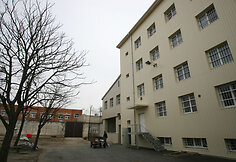 Kolonijoje