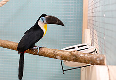 Zooparkas 