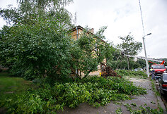 Vėjo padariniai