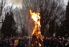 Užgavėnės Aleksote