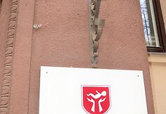 P.Mažylio gimdymo namai