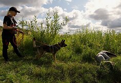 „K-9 paieška“ savanoriai su šunimis