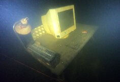 Lietuvos vandens telkiniuose &ndash; lobiai ir &scaron;iuk&scaron;lės