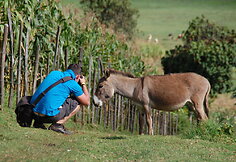 Fotografuojamas asilas