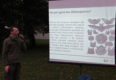 Renginio Vilniaus Verkių parke akimirkos