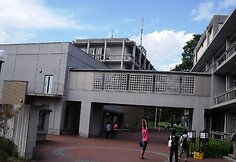 Japonija. Universiteto kiemelis