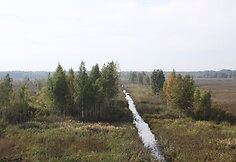 Novaraistis