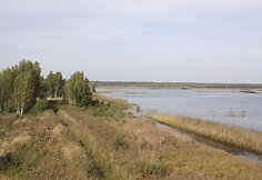 Novaraistis