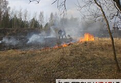 Deganti žolė šiuo metu yra vienas didžiausių ugniagesių galvos skausmų