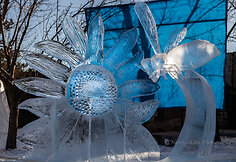 Festivalio „Ice on Whyte“ dalyvių skulptūros