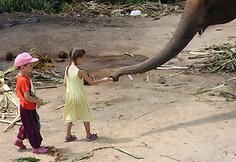 Koh Phangan sala pusmetį buvo Kupečių &scaron;eimos namai