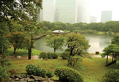 Hamarikyu sodas