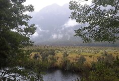 Naujosios Zelandijos gamta