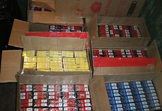 Pareigūnų konfiskuotos kontrabandinės cigaretės