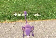 Alytuje vykusioje &scaron;ventėje miestiečiai ir svečiai gaudė pokemonus