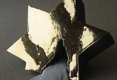 Giedrė Bardzilauskė. Žvaigždės kartais krenta