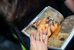 Sauliaus Damulevičiaus ekspedicijų bei knygos pristatymas Vilniuje ir Kaune