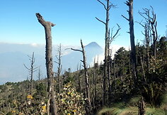 Pakeliui