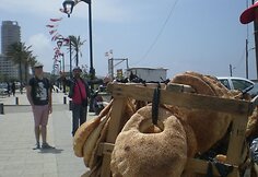 Beirutas