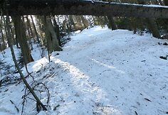 Kleboniškio miško parkas