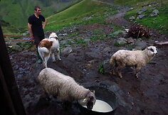 Kalnuose &Scaron;iaurės Rumunijoje. Užklupus didelei audrai, į savo namuką mus priėmė &scaron;is piemuo