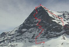 Kopimas į Eigerį