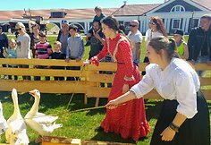 Pakruojo dvare savaitgaliais galima i&scaron;vysti žąsų lenktynes