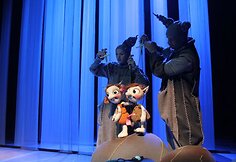 Kauno valstybinis lėlių teatras ir jo spektaklis &bdquo;&Scaron;eimynėlė i&scaron; Didžiosios girios&ldquo;