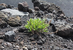 Etna