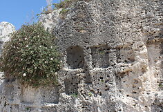Neapolio kvartalas